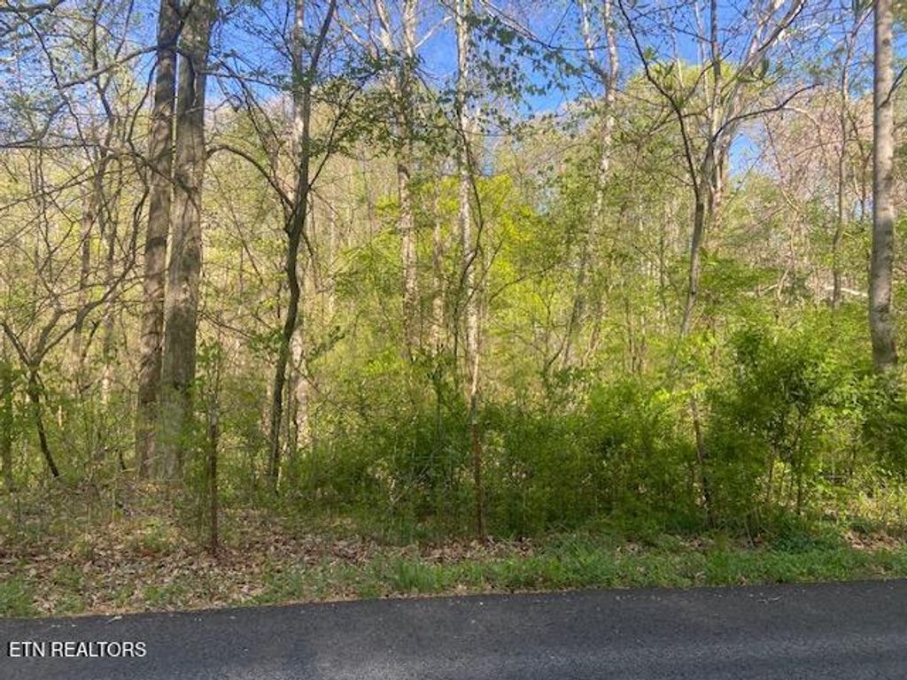 Photo of Poland Hollow Rd, Harriman, TN 37748 (MLS # 1299066)