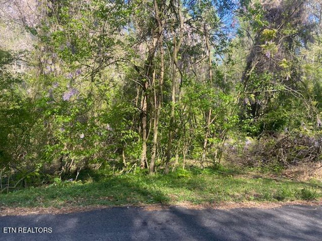 Photo of Poland Hollow Rd, Harriman, TN 37748 (MLS # 1299066)
