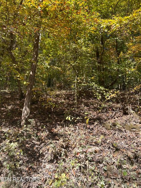 Tiny photo for TBD Lonesome Valley Rd, New Tazewell, TN 37825 (MLS # 1318909)
