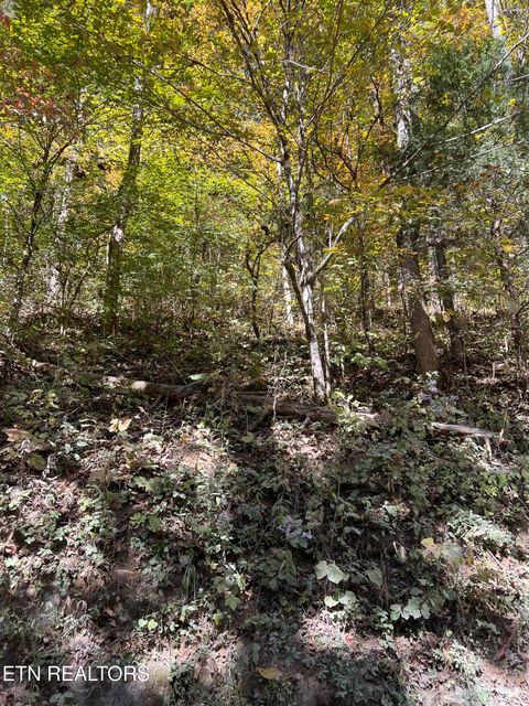 Tiny photo for TBD Lonesome Valley Rd, New Tazewell, TN 37825 (MLS # 1318909)