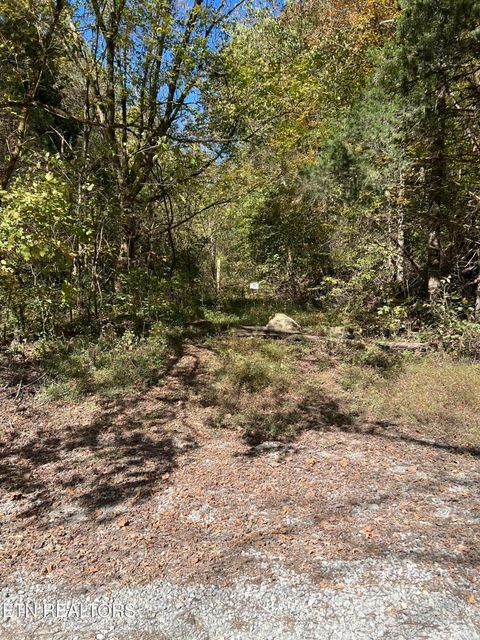 Tiny photo for TBD Lonesome Valley Rd, New Tazewell, TN 37825 (MLS # 1318909)
