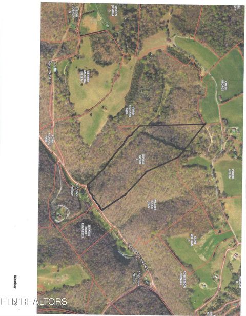 Photo of TBD Lonesome Valley Rd, New Tazewell, TN 37825 (MLS # 1318909)