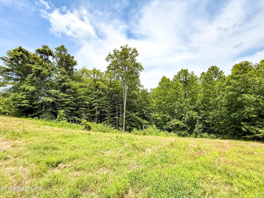 Photo of 117 Cherry Oak Drive, Oak Ridge, TN 37830 (MLS # 1304464)