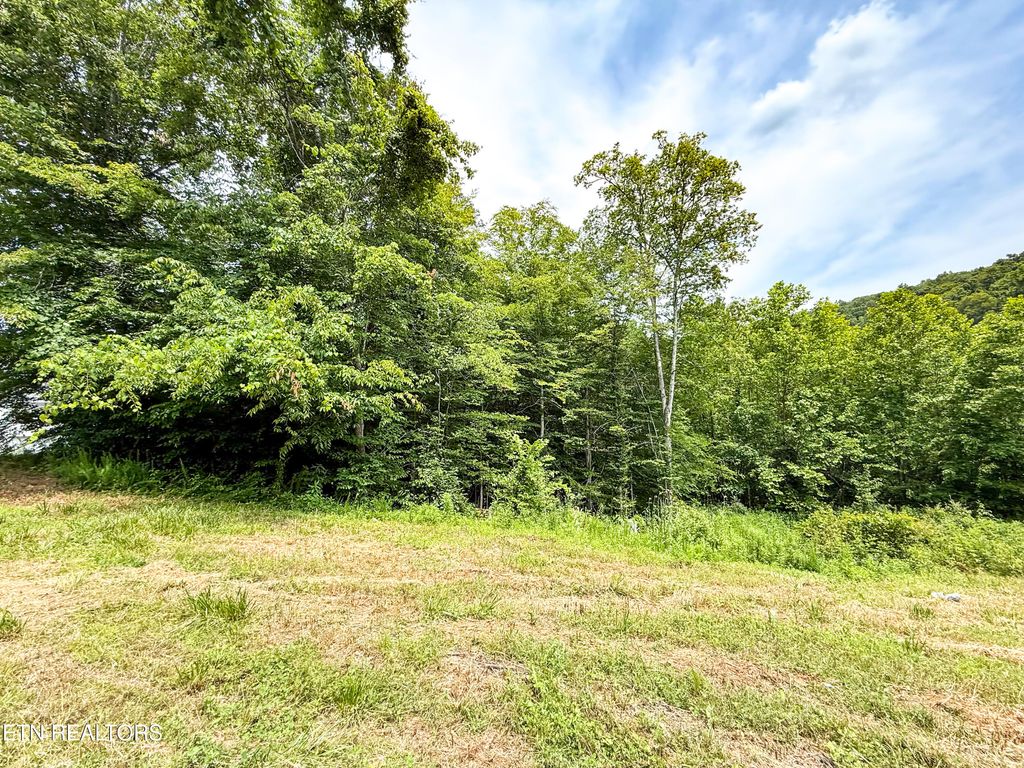 Photo of 117 Cherry Oak Drive, Oak Ridge, TN 37830 (MLS # 1304464)