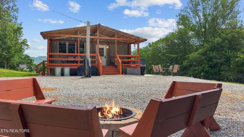 Tiny photo for 3329 Stinking Creek Rd, Pioneer, TN 37847 (MLS # 1329248)