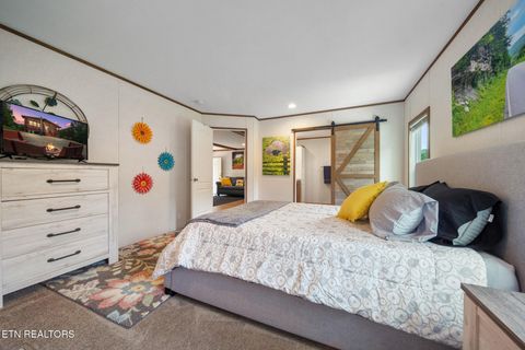 Tiny photo for 3329 Stinking Creek Rd, Pioneer, TN 37847 (MLS # 1329248)