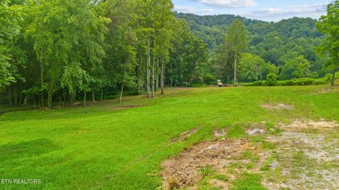 Tiny photo for 3329 Stinking Creek Rd, Pioneer, TN 37847 (MLS # 1329248)
