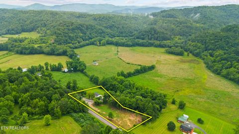 Tiny photo for 3329 Stinking Creek Rd, Pioneer, TN 37847 (MLS # 1329248)