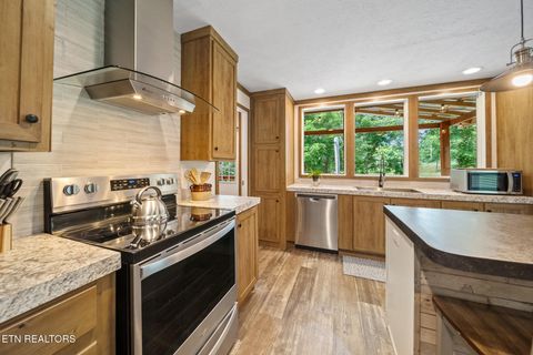 Tiny photo for 3329 Stinking Creek Rd, Pioneer, TN 37847 (MLS # 1329248)