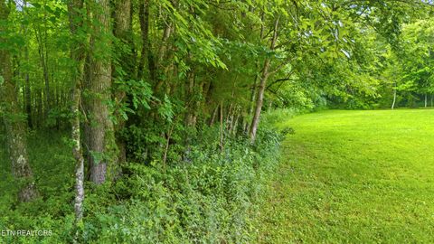 Tiny photo for 3329 Stinking Creek Rd, Pioneer, TN 37847 (MLS # 1329248)