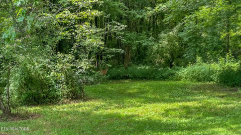 Tiny photo for 3329 Stinking Creek Rd, Pioneer, TN 37847 (MLS # 1329248)