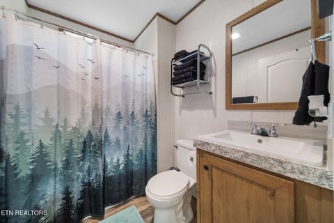 Tiny photo for 3329 Stinking Creek Rd, Pioneer, TN 37847 (MLS # 1329248)