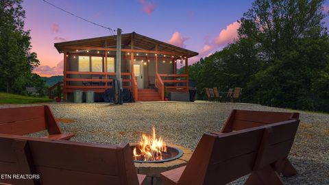 Tiny photo for 3329 Stinking Creek Rd, Pioneer, TN 37847 (MLS # 1329248)