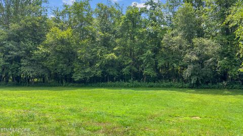 Tiny photo for 3329 Stinking Creek Rd, Pioneer, TN 37847 (MLS # 1329248)