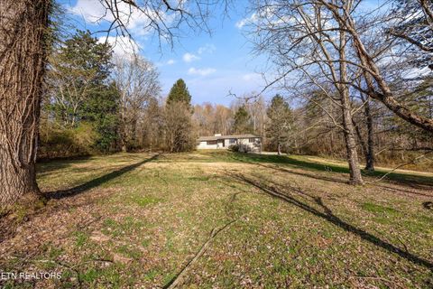 Tiny photo for 683 Webster Rd, Harriman, TN 37748 (MLS # 1333550)