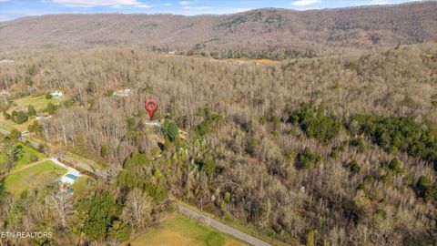 Tiny photo for 683 Webster Rd, Harriman, TN 37748 (MLS # 1333550)