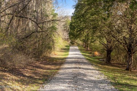 Tiny photo for 683 Webster Rd, Harriman, TN 37748 (MLS # 1333550)