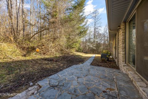 Tiny photo for 683 Webster Rd, Harriman, TN 37748 (MLS # 1333550)