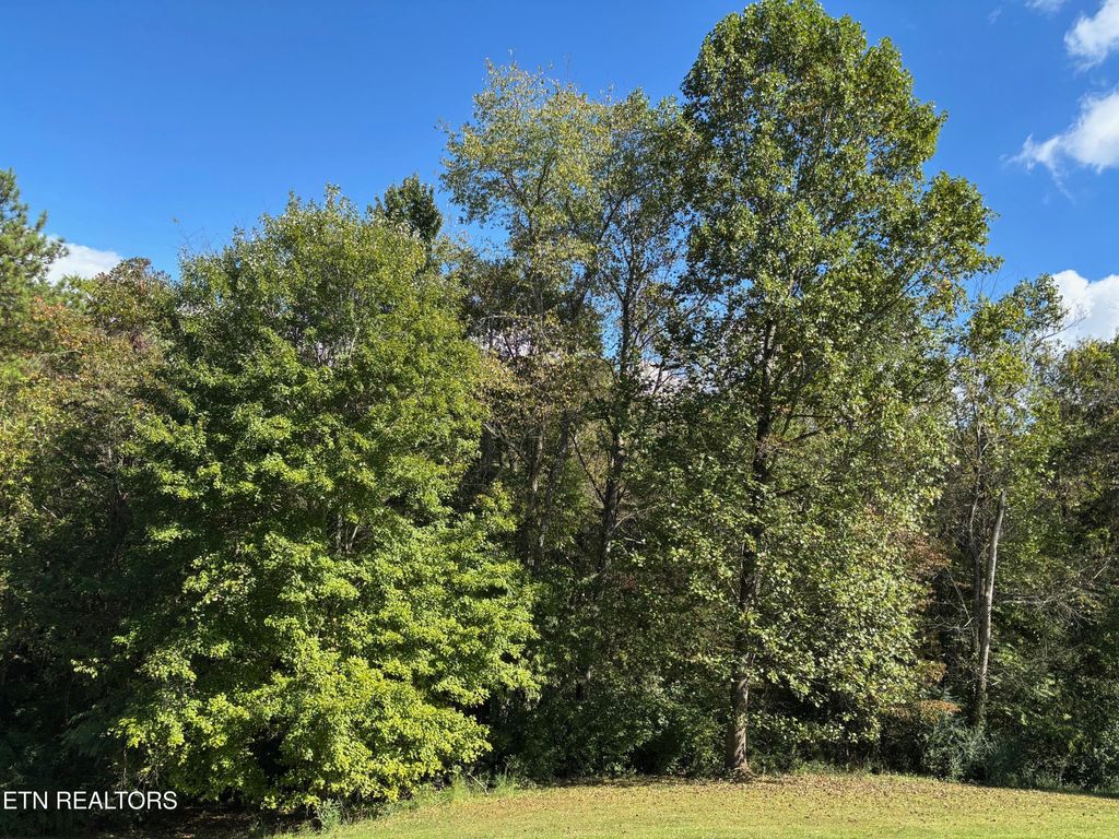 Photo of 595 Ricky Drive, Talbott, TN 37877 (MLS # 1317980)