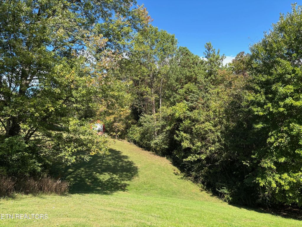 Photo of 595 Ricky Drive, Talbott, TN 37877 (MLS # 1317980)