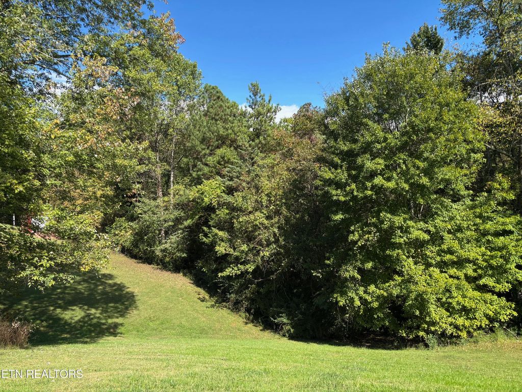 Photo of 595 Ricky Drive, Talbott, TN 37877 (MLS # 1317980)