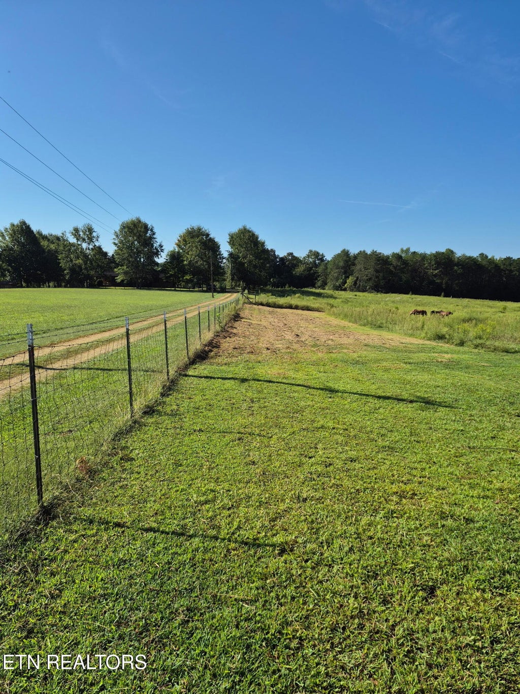 Photo of 293 County Road 607, Athens, TN 37303 (MLS # 1355338)