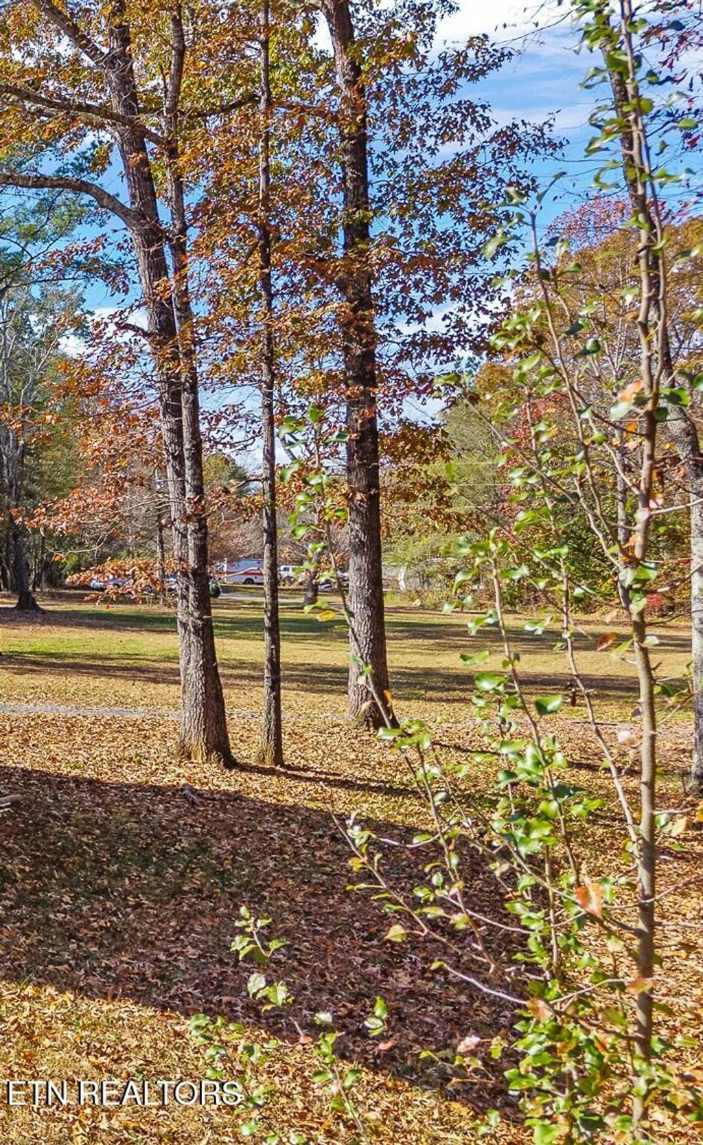 Photo of 232 Sweeney Rd, Benton, TN 37307 (MLS # 1324554)