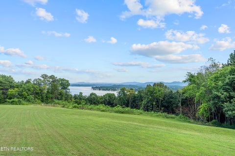 Tiny photo for 390 Highway 113, White Pine, TN 37890 (MLS # 1349293)