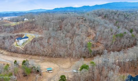 Tiny photo for 135 W Point Drive, Dandridge, TN 37725 (MLS # 1332427)