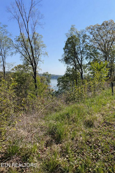 Tiny photo for 135 W Point Drive, Dandridge, TN 37725 (MLS # 1332427)