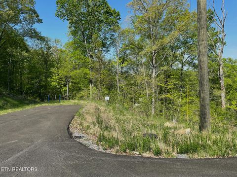 Tiny photo for 135 W Point Drive, Dandridge, TN 37725 (MLS # 1332427)