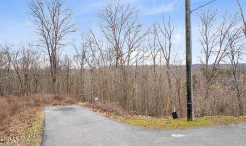 Tiny photo for 135 W Point Drive, Dandridge, TN 37725 (MLS # 1332427)