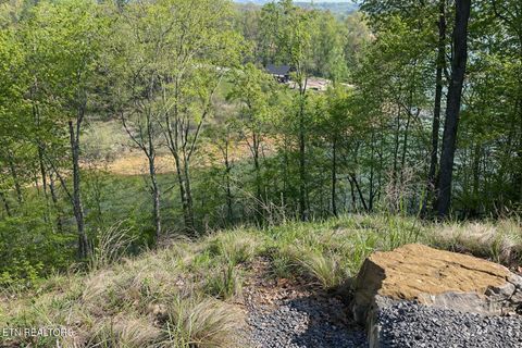 Tiny photo for 135 W Point Drive, Dandridge, TN 37725 (MLS # 1332427)