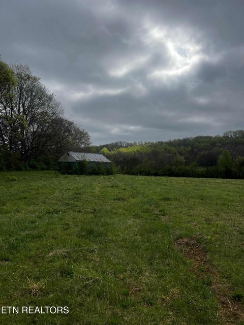 Tiny photo for 829 W WIllson St, Niota, TN 37826 (MLS # 1325786)