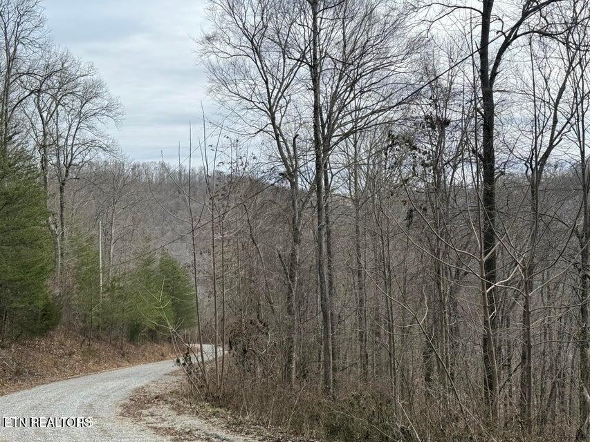 JONES RIDGE RD Rd