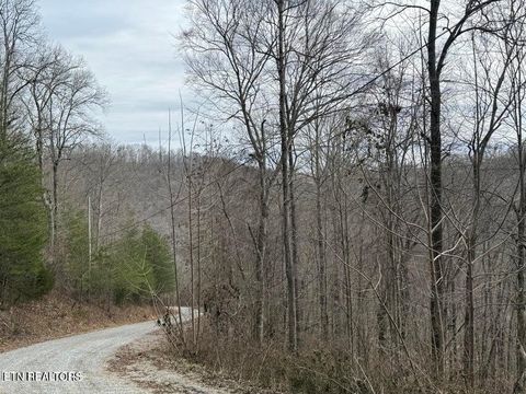 Tiny photo for JONES RIDGE RD Rd, Speedwell, TN 37870 (MLS # 1340603)