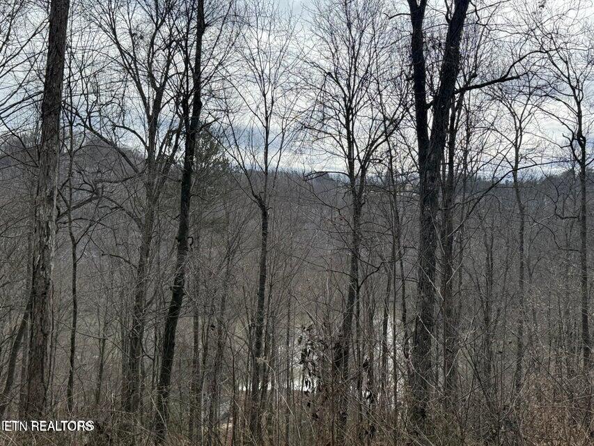 JONES RIDGE RD Rd