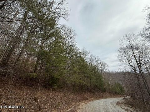 Photo of JONES RIDGE RD Rd, Speedwell, TN 37870 (MLS # 1340603)