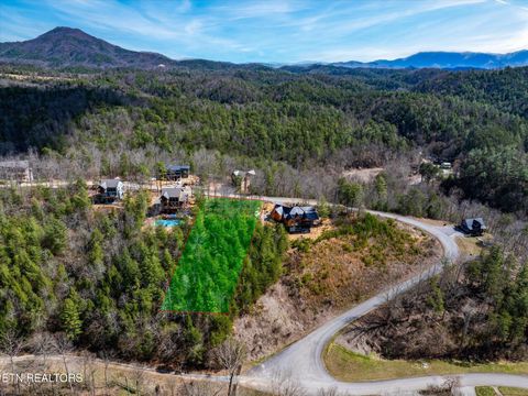 Photo of 3 Mountain Ash Way, Sevierville, TN 37876 (MLS # 1332304)