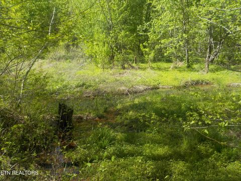 Steve Brown Road Bean Station TN 37708