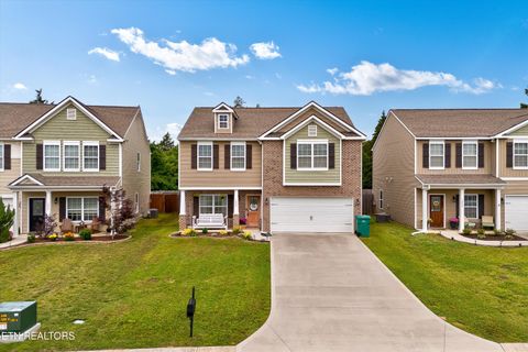 1242 Bill Wallace Drive Friendsville TN 37737