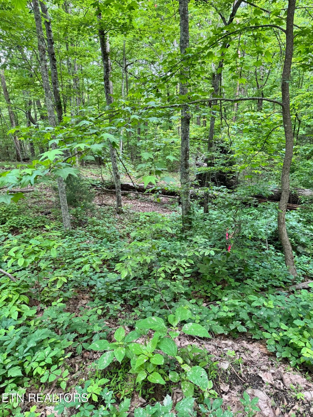 Photo of Prettiest Sunset Lot #3 Way, Seymour, TN 37865 (MLS # 1300906)