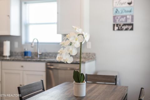 Tiny photo for 1218 W 4Th Ave, Knoxville, TN 37921 (MLS # 1339731)