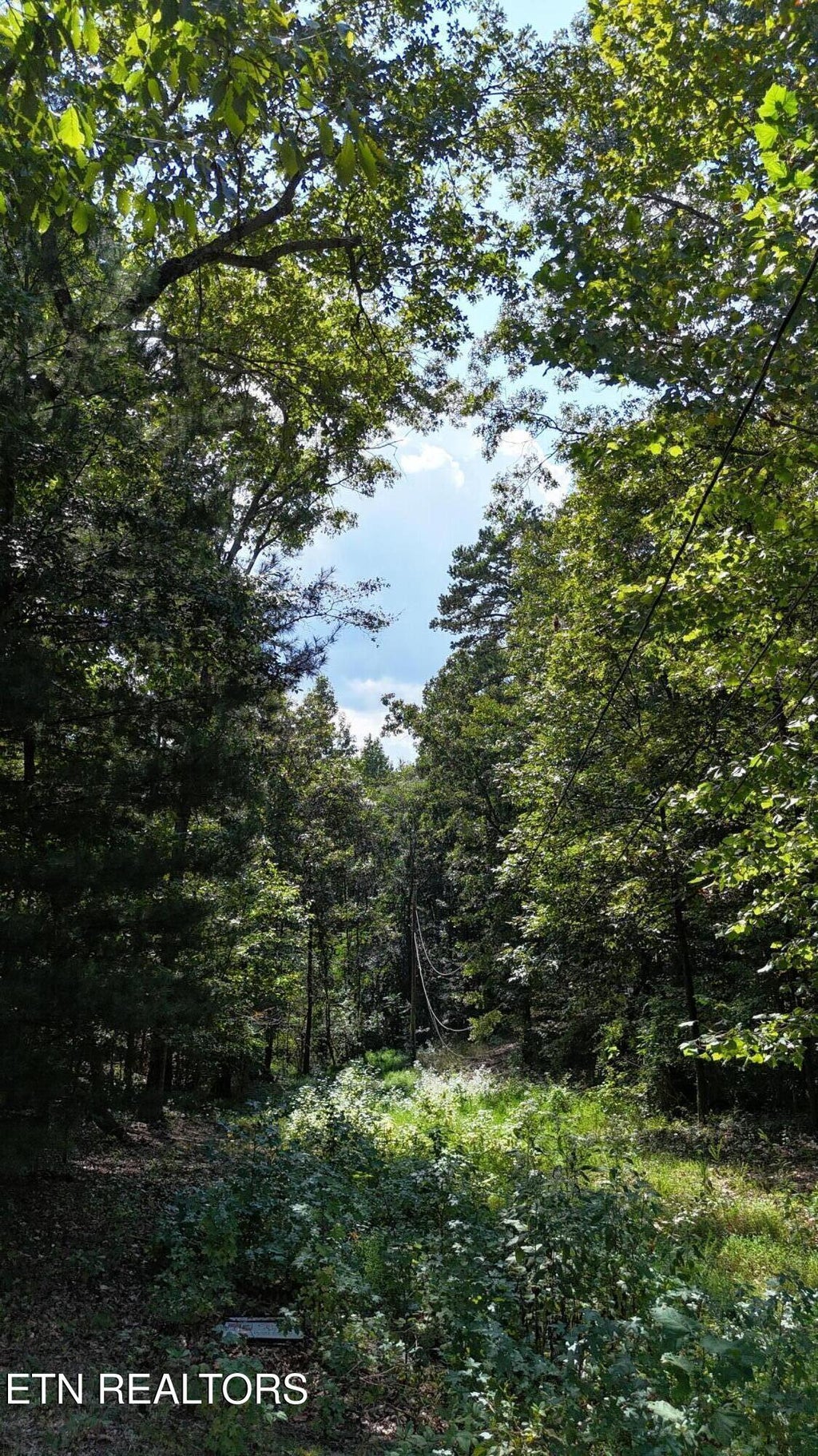 Photo of Hall St, Rockwood, TN 37854 (MLS # 1356479)