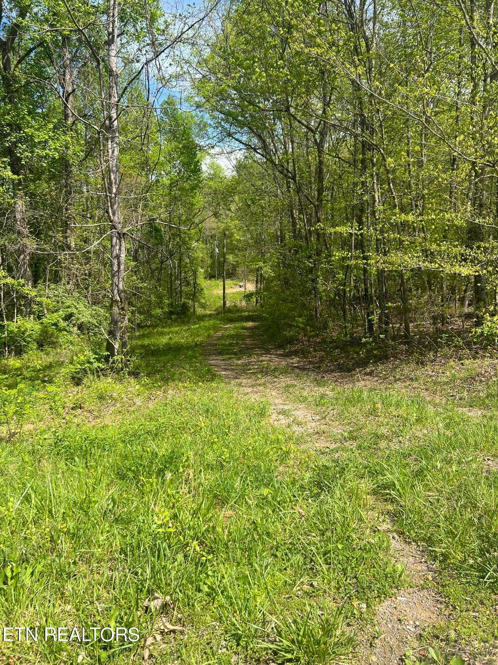 Photo of 199 Lick Skillet Rd, Maynardville, TN 37807 (MLS # 1260052)