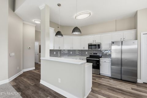 Tiny photo for 565 Rarity Bay Pkwy #201, Vonore, TN 37885 (MLS # 1336125)