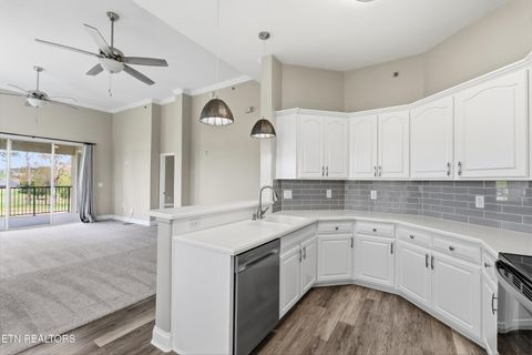 Tiny photo for 565 Rarity Bay Pkwy #201, Vonore, TN 37885 (MLS # 1336125)