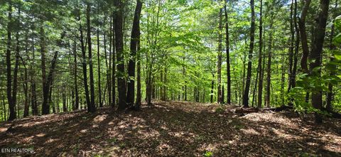 Photo of 0 Carmel Ridge Pvt Drive, Robbins, TN 37852 (MLS # 1338767)