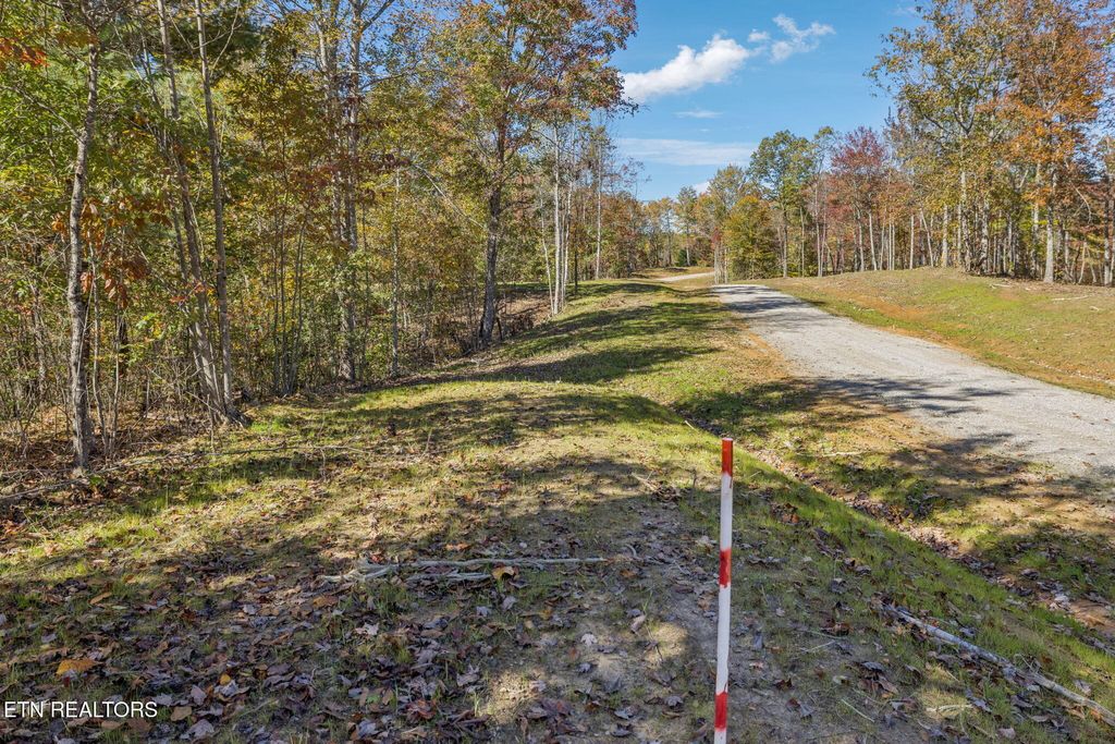 Photo of Sheep Ranch Rd, Robbins, TN 37852 (MLS # 1324750)