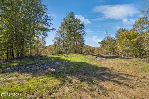 Photo of Sheep Ranch Rd, Robbins, TN 37852 (MLS # 1324750)